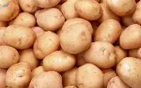 Potatoes