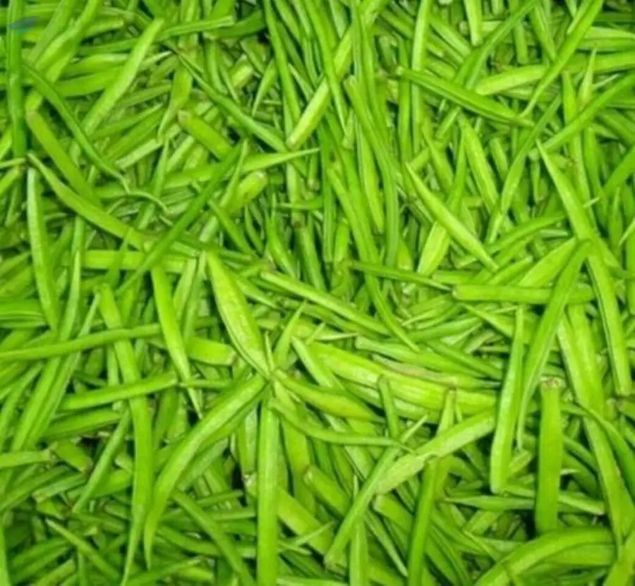 Cluster Beans