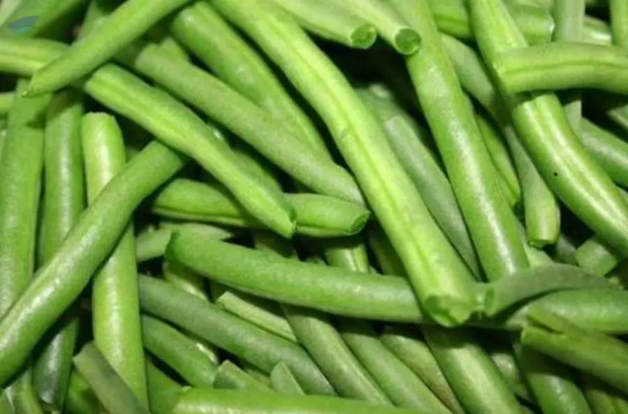 Leguminous Beans