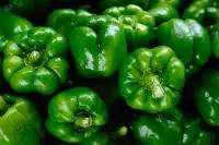 Green Capsicum
