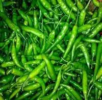 Green Chilies