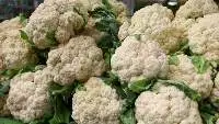 Cauliflower