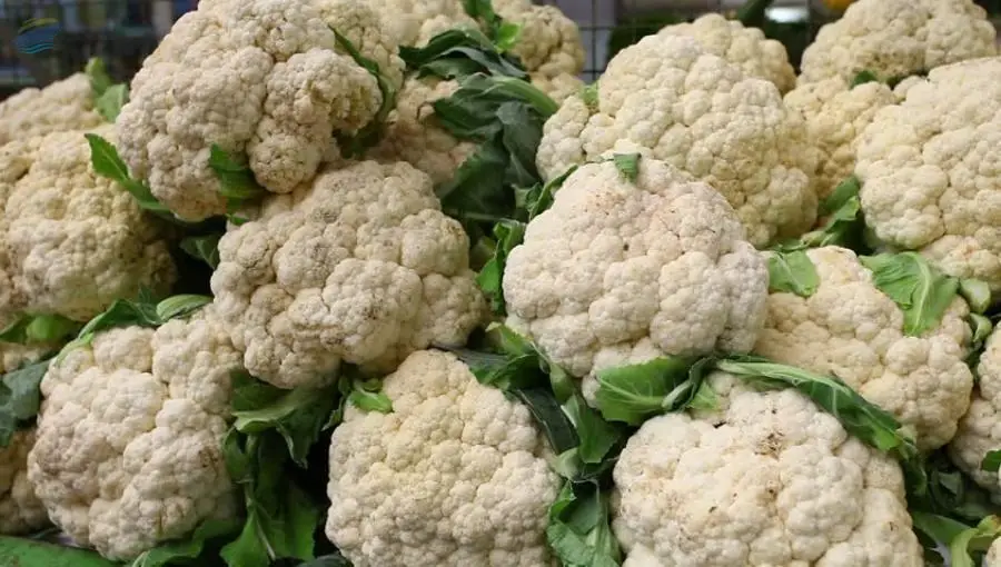 Cauliflower