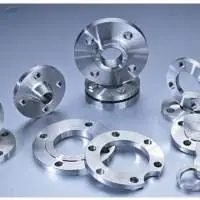 Stainless Steel Flanges