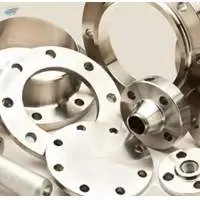 Duplex Steel Flanges
