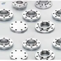 SMO 254 Flanges