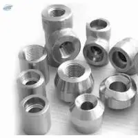 Duplex Steel Forged Fittings