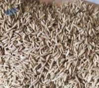 Cumin