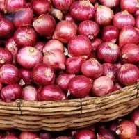 Red Onion