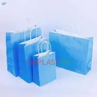 Custom Paper Bags With Twisted/Flat Handles