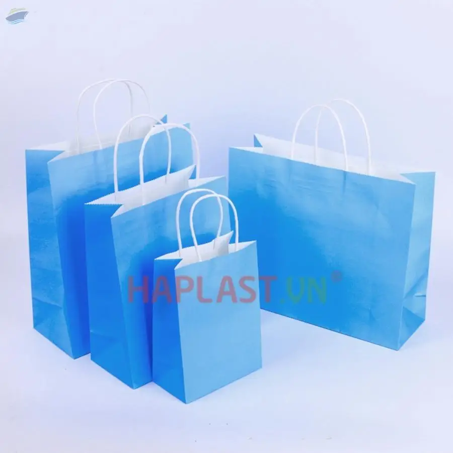 Custom Paper Bags With Twisted/Flat Handles