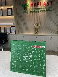 Foldable Reusable Shopping Bags