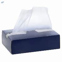 Clear White Plastic Sheet For Sandwich Packaging