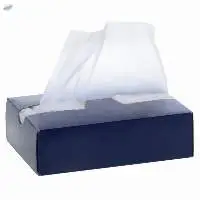 Clear White Plastic Sheet For Sandwich Packaging