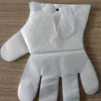 Food Handling Disposable PE Gloves