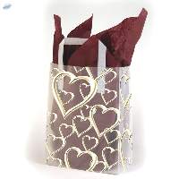 Frosted Custom Print Rigid Handle Bags