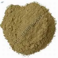 Bhumi Amla Powder