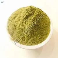 Stevia Leaves Powder