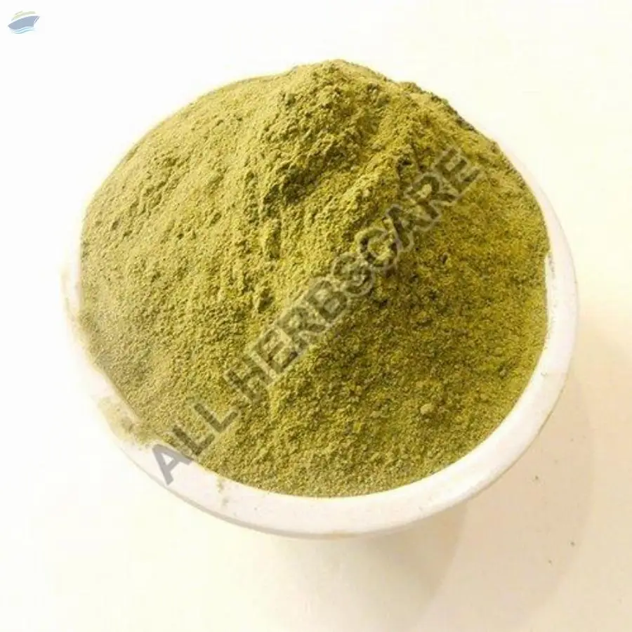 Stevia Leaves Powder