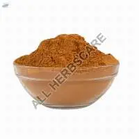 Babool Powder