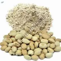 Kaunch Seed Powder