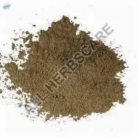 Giloy Powder