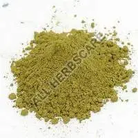 Senna Leaves Powder