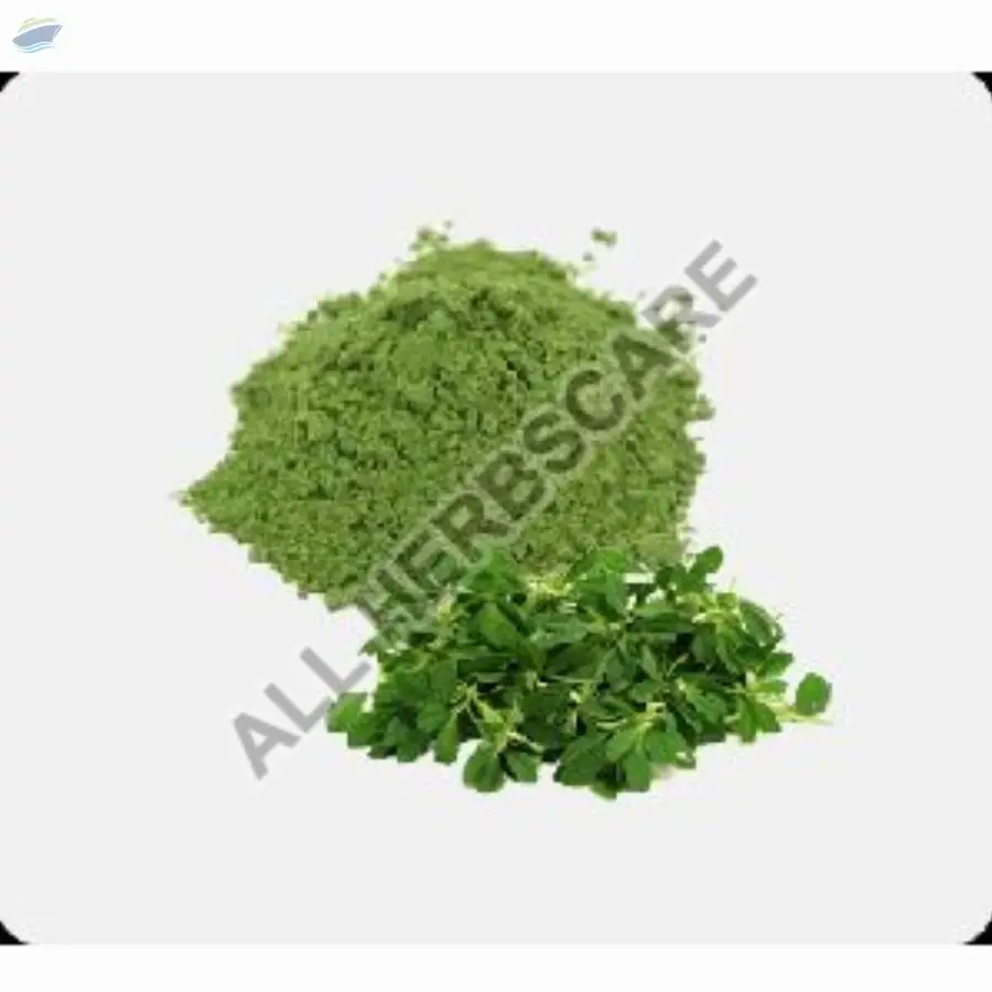Fenugreek Leaves Powder by All Herbscare. Supplier from India. Product