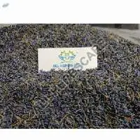 Dried Lavender Flower Buds