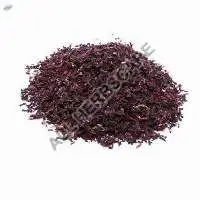 Hibiscus TBC