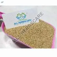Chamomile TBC