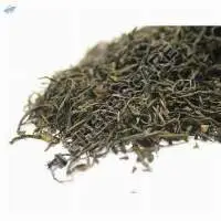 Dried Green Tea Leaves