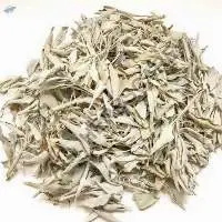 Dried Sage Leaves