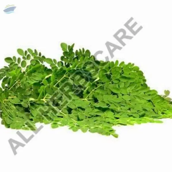 Moringa Leaf Extract