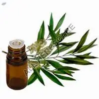 Tea Tree Oil
