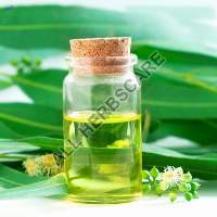 Eucalyptus Oil