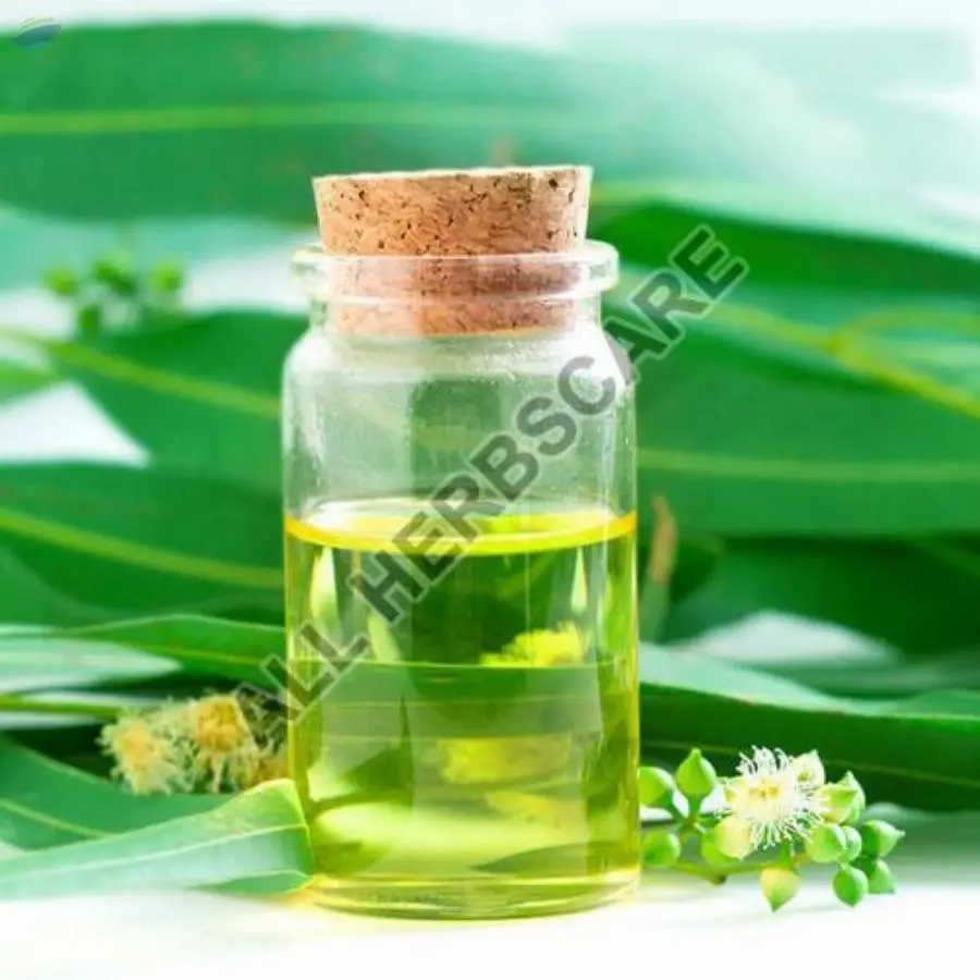 Eucalyptus Oil