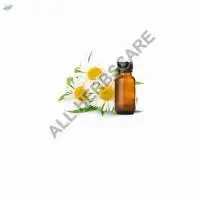 Chamomile Oil