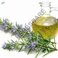 Rosemary Oil