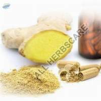 Ginger Tablets and Capsules