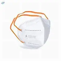 Medische Mondmaskers FPP2/N95 Met Ear-loops
