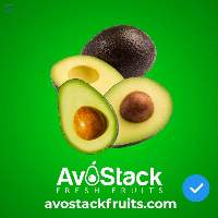 Avocado Hass