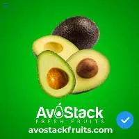 Avocado Hass