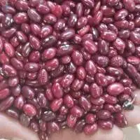 Red Kidney Beans