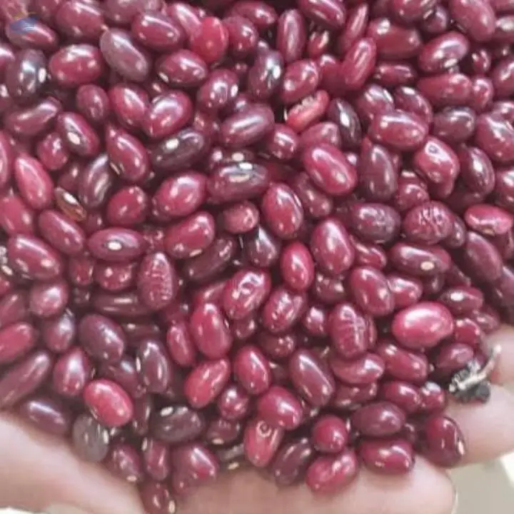Red Kidney Beans