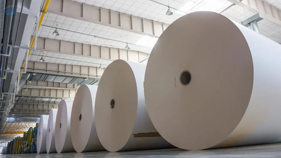 Duplex Paper Board 