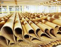 Fluting Paper