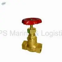 IS-13 Gun Metal Globe Valve