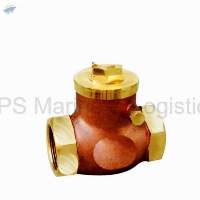 IS-16 Gun Metal Swing Check Valve