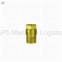 IS-21 Gun Metal Foot Valve